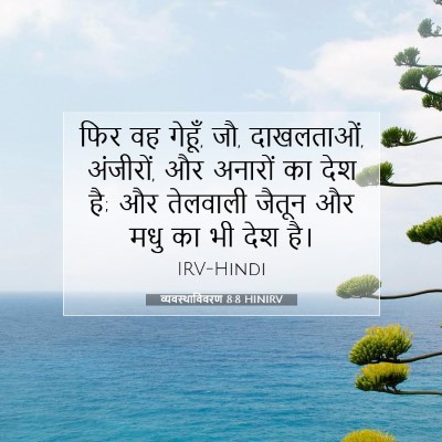 व्यवस्थाविवरण 8:8 बाइबल आयत की व्याख्या