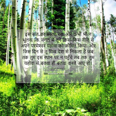 व्यवस्थाविवरण 9:7 HINIRV बाइबल आयत इमेज