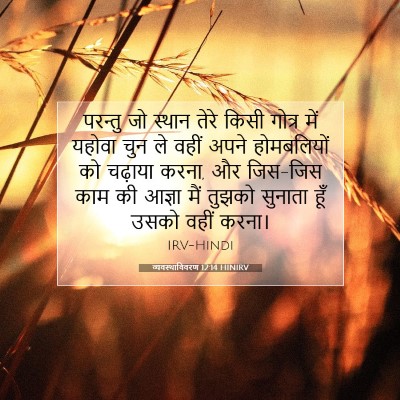 व्यवस्थाविवरण 12:14 बाइबल आयत की व्याख्या