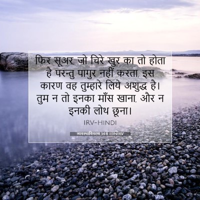 व्यवस्थाविवरण 14:8 बाइबल आयत की व्याख्या
