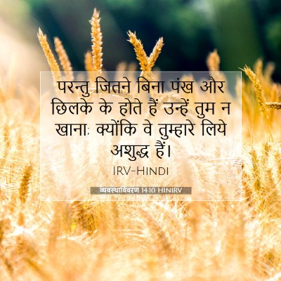 व्यवस्थाविवरण 14:10 बाइबल आयत की व्याख्या