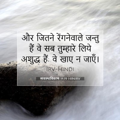 व्यवस्थाविवरण 14:19 बाइबल आयत की व्याख्या