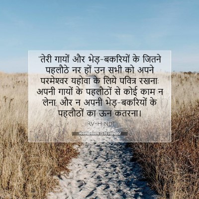 व्यवस्थाविवरण 15:19 बाइबल आयत की व्याख्या