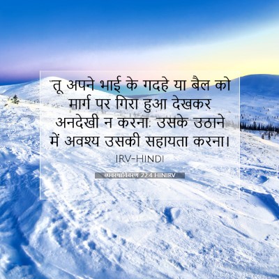 व्यवस्थाविवरण 22:4 बाइबल आयत की व्याख्या