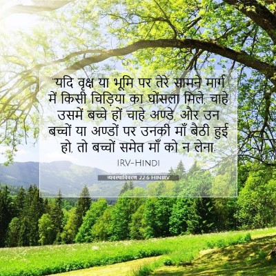 व्यवस्थाविवरण 22:6 बाइबल आयत की व्याख्या