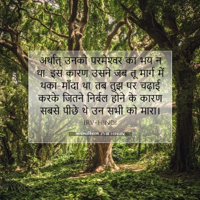व्यवस्थाविवरण 25:18 बाइबल आयत की व्याख्या