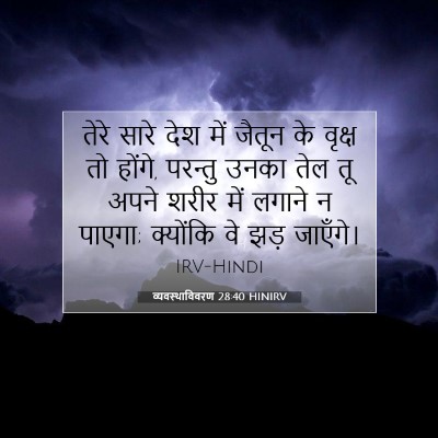 व्यवस्थाविवरण 28:40 बाइबल आयत की व्याख्या