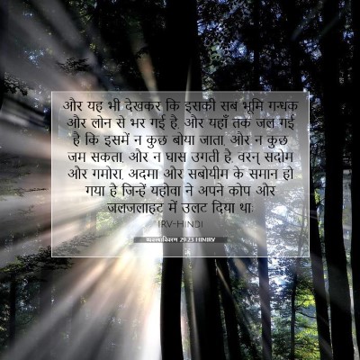 व्यवस्थाविवरण 29:23 बाइबल आयत की व्याख्या