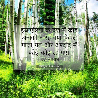 यहोशू 11:22 बाइबल आयत की व्याख्या