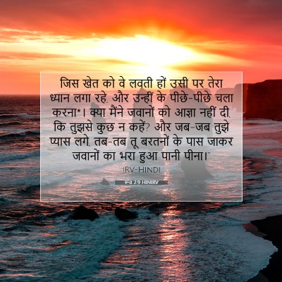 रूत 2:9 बाइबल आयत की व्याख्या