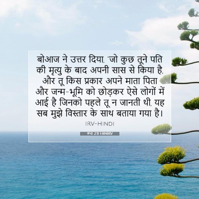 रूत 2:11 HINIRV बाइबल आयत इमेज
