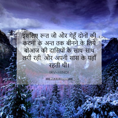 रूत 2:23 HINIRV बाइबल आयत इमेज