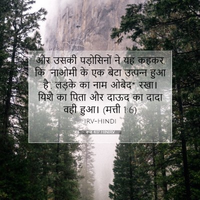 रूत 4:17 HINIRV बाइबल आयत इमेज