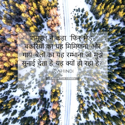 1 शमूएल 15:14 बाइबल आयत की व्याख्या