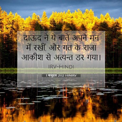 1 शमूएल 21:12 बाइबल आयत की व्याख्या