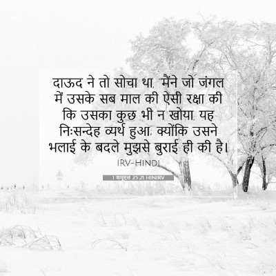1 शमूएल 25:21 बाइबल आयत की व्याख्या