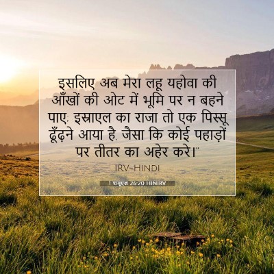 1 शमूएल 26:20 HINIRV बाइबल आयत इमेज