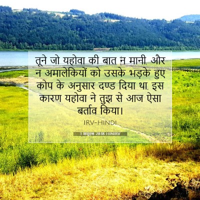 1 शमूएल 28:18 बाइबल आयत की व्याख्या