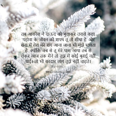 1 शमूएल 29:6 बाइबल आयत की व्याख्या