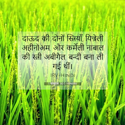 1 शमूएल 30:5 बाइबल आयत की व्याख्या