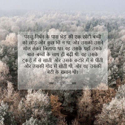 2 शमूएल 12:3 बाइबल आयत की व्याख्या