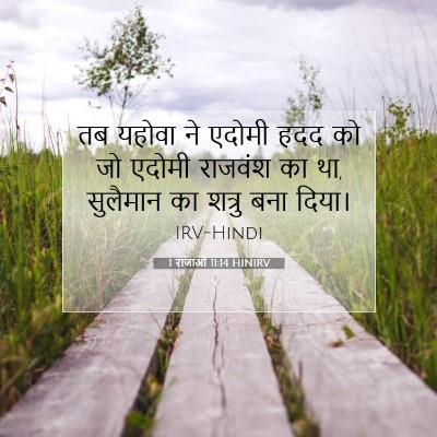 1 राजाओं 11:14 बाइबल आयत की व्याख्या