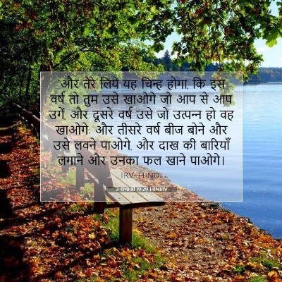2 राजाओं 19:29 बाइबल आयत की व्याख्या