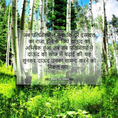 1 इतिहास 14:8 बाइबल आयत की व्याख्या