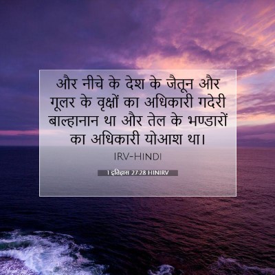 1 इतिहास 27:28 बाइबल आयत की व्याख्या