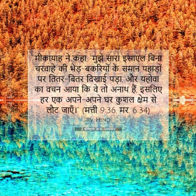 2 इतिहास 18:16 बाइबल आयत की व्याख्या