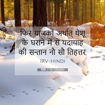 एज्रा 2:36 बाइबल आयत की व्याख्या