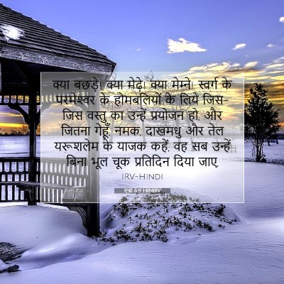 एज्रा 6:9 बाइबल आयत की व्याख्या