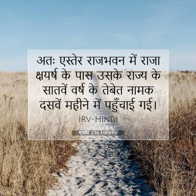 एस्तेर 2:16 बाइबल आयत की व्याख्या
