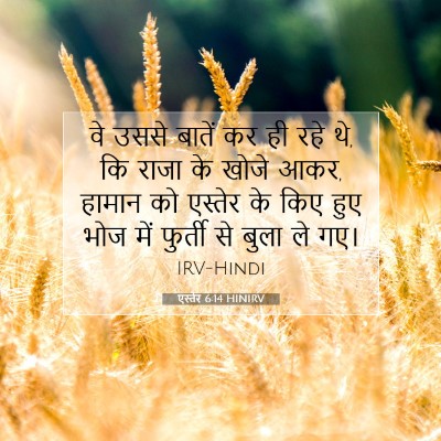 एस्तेर 6:14 बाइबल आयत की व्याख्या