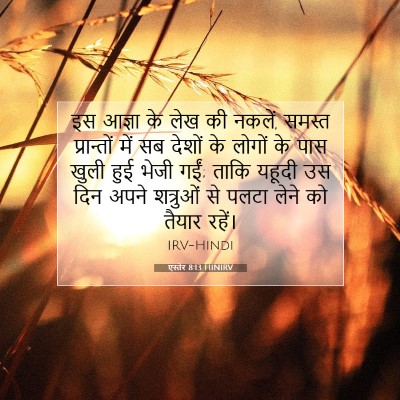 एस्तेर 8:13 बाइबल आयत की व्याख्या