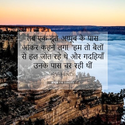 अय्यूब 1:14 बाइबल आयत की व्याख्या