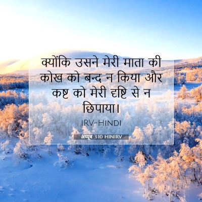 अय्यूब 3:10 बाइबल आयत की व्याख्या