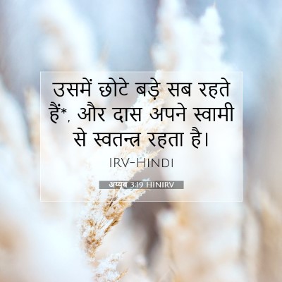 अय्यूब 3:19 बाइबल आयत की व्याख्या