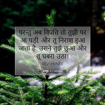 अय्यूब 4:5 बाइबल आयत की व्याख्या