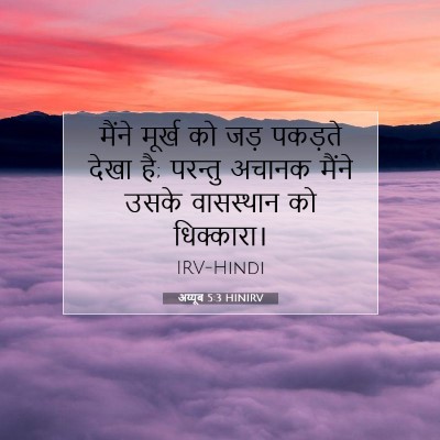 अय्यूब 5:3 बाइबल आयत की व्याख्या