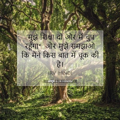 अय्यूब 6:24 बाइबल आयत की व्याख्या
