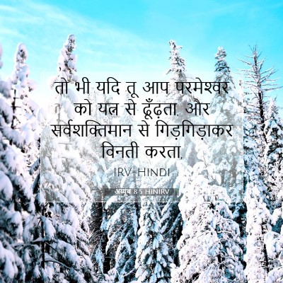 अय्यूब 8:5 बाइबल आयत की व्याख्या