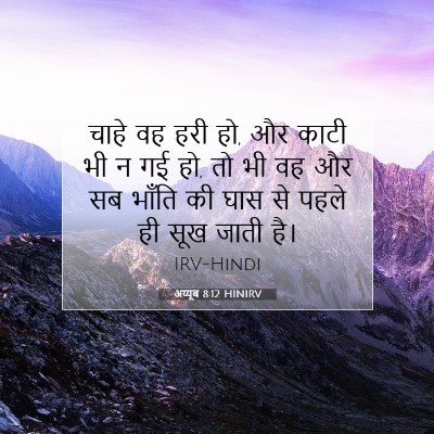 अय्यूब 8:12 बाइबल आयत की व्याख्या