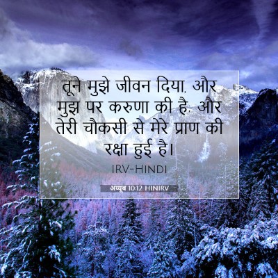 अय्यूब 10:12 बाइबल आयत की व्याख्या
