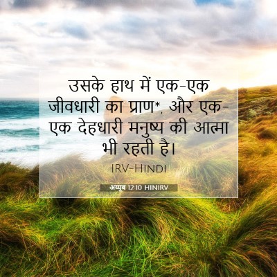 अय्यूब 12:10 बाइबल आयत की व्याख्या