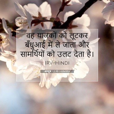 अय्यूब 12:19 बाइबल आयत की व्याख्या