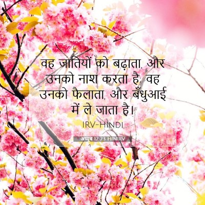 अय्यूब 12:23 बाइबल आयत की व्याख्या