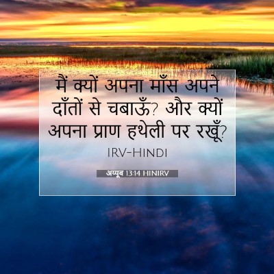 अय्यूब 13:14 बाइबल आयत की व्याख्या