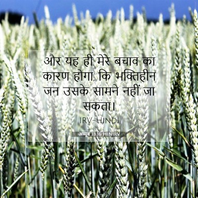 अय्यूब 13:16 बाइबल आयत की व्याख्या