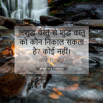 अय्यूब 14:4 HINIRV बाइबल आयत इमेज